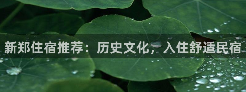 球盟会app最新地址下载|新郑住宿推荐：历史文化，入住舒适民宿