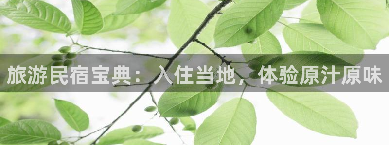 球盟会最新官网