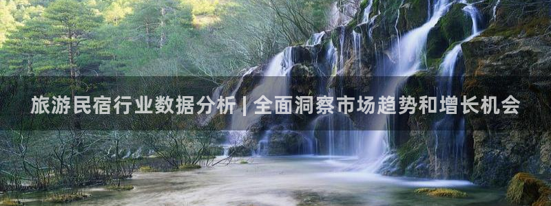 球盟会官方网站入口|旅游民宿行业数据分析 | 全面洞察市场趋势和增长机会